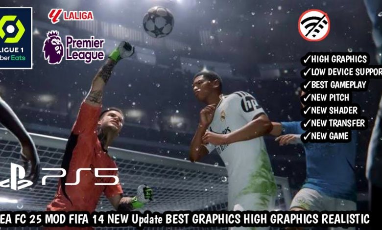 FIFA_14_MOD _FIFA_25